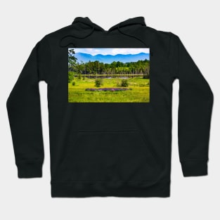 Lupine Field x Nature Photography Hoodie